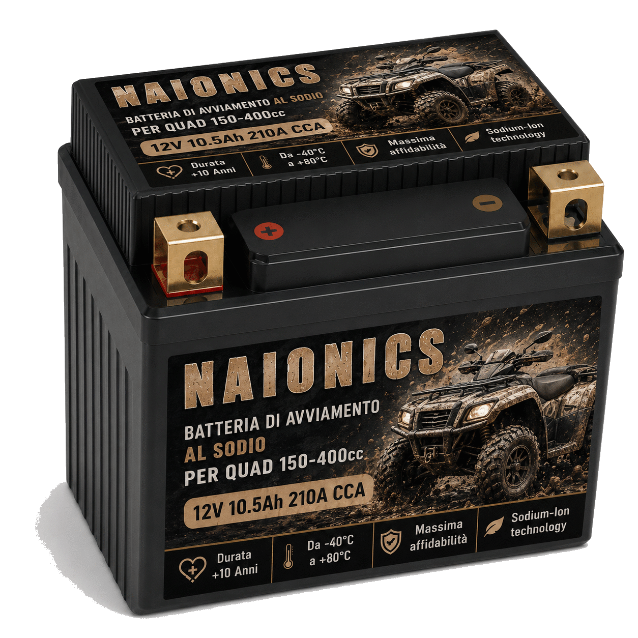 Batteria al Sodio per avviamento ATV Quad 150-400cc Naionics 12V 10.5Ah 210A CCA - Batteria al Sodio Avviamento Moto EverStart Series NAM12N12-Q2