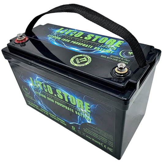Batteria LiFePO4 12V 100Ah litio-ferro-fosfato 100A BMS 1280Wh Serie Classic 11476 - LiFePO4 Battery