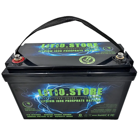 Batteria LiFePO4 12V 100Ah litio-ferro-fosfato 100A BMS 1280Wh Serie Classic 11476 - LiFePO4 Battery