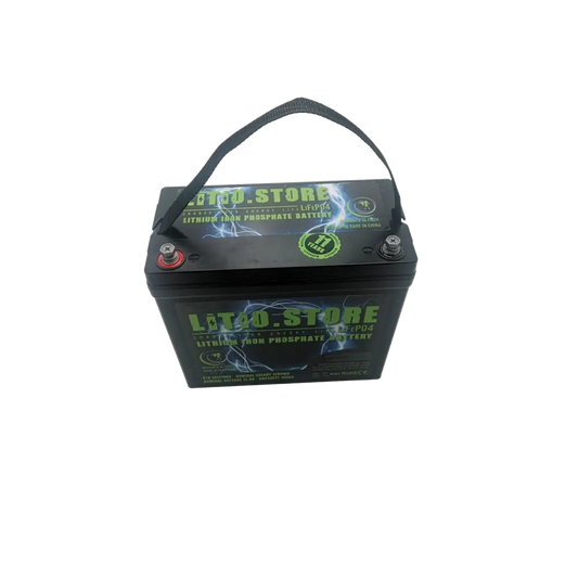 Batteria LiFePO4 12V 100Ah Serie PICCOLA litio-ferro-fosfato 100A BMS 1280Wh 11493 - LiFePO4 Battery