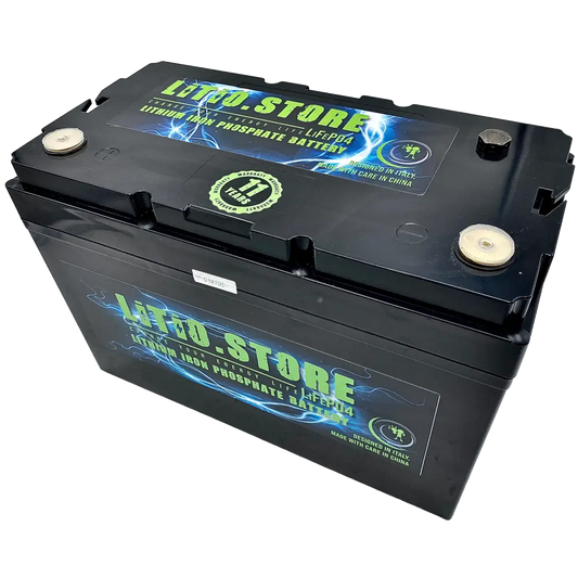 Batteria LiFePO4 12V 190Ah Serie PICCOLA Litio Store 200A BMS 2432Wh 11494 - LiFePO4 Battery