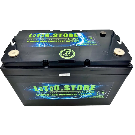 Batteria LiFePO4 12V 190Ah Serie PICCOLA Litio Store 200A BMS 2432Wh 11494 - LiFePO4 Battery