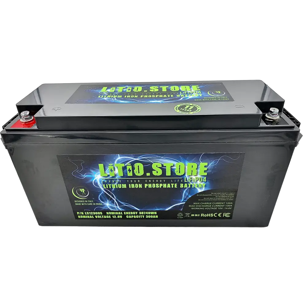 Batteria LiFePO4 12V 300Ah Serie PICCOLA Litio Store LFP 100A BMS 3840Wh 11495 - LiFePO4 Battery