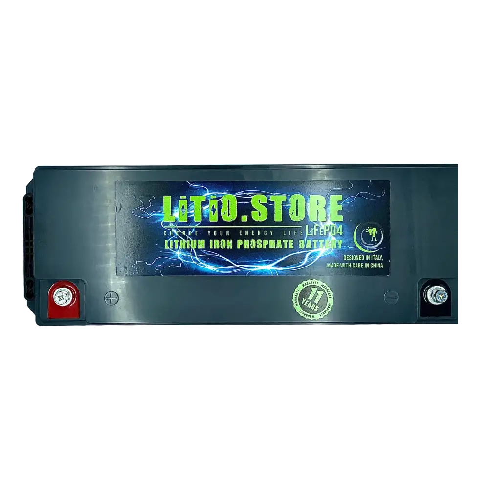 Batteria LiFePO4 12V 300Ah Serie PICCOLA Litio Store LFP 100A BMS 3840Wh 11495 - LiFePO4 Battery