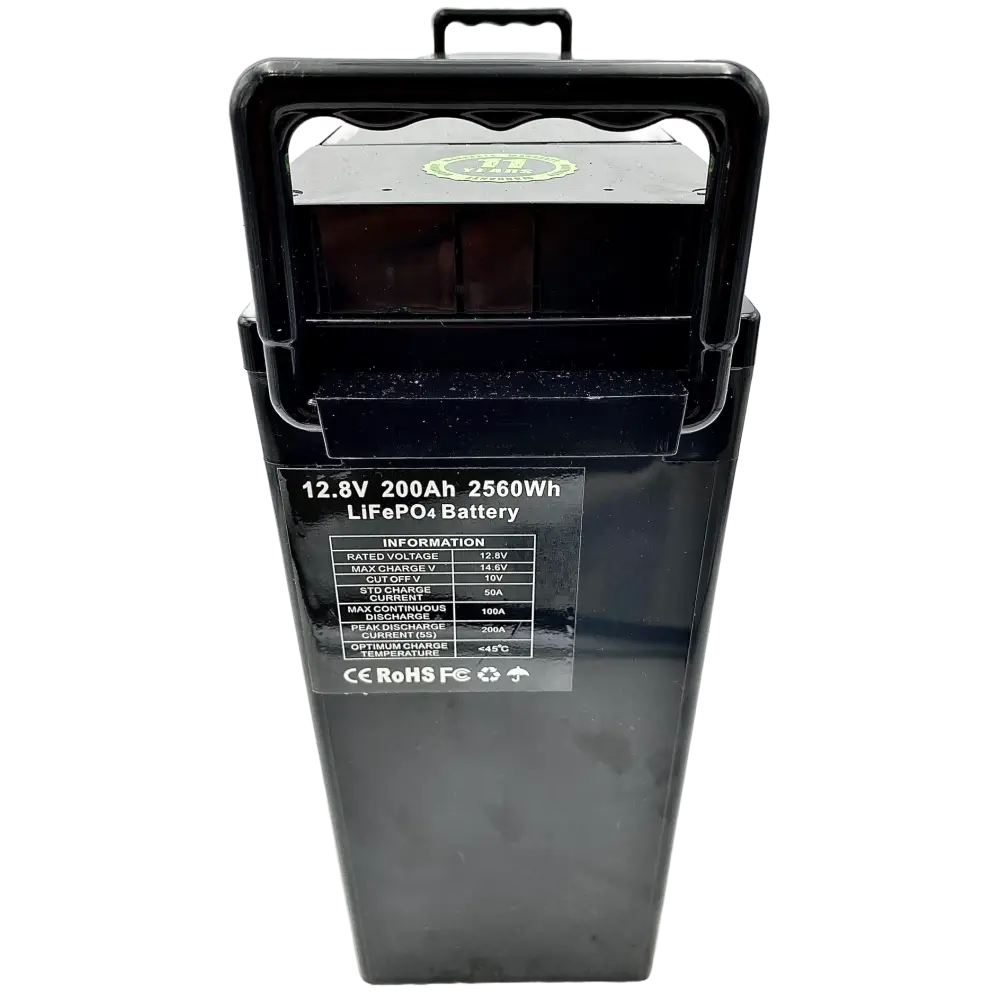 Batteria LiFePO4 24V 100Ah Litio Store LFP 100A BMS Ultraslim 2560Wh 11515 - LiFePO4 Battery