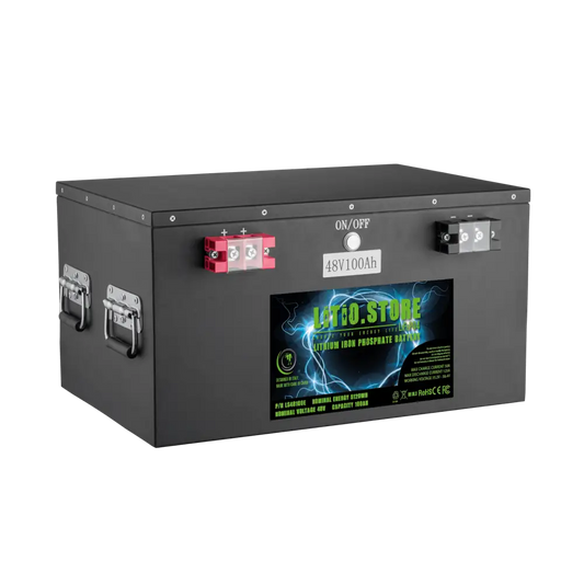 Batteria LiFePO4 48V 100Ah litio-ferro-fosfato 125A BMS 5120Wh 5kWh per Barche - Golf Cars - Litio Store Serie PRO