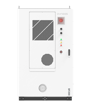 Armadio Batteria Accumulo Dyness BF200-C260 261kWh LiFePO4 C5