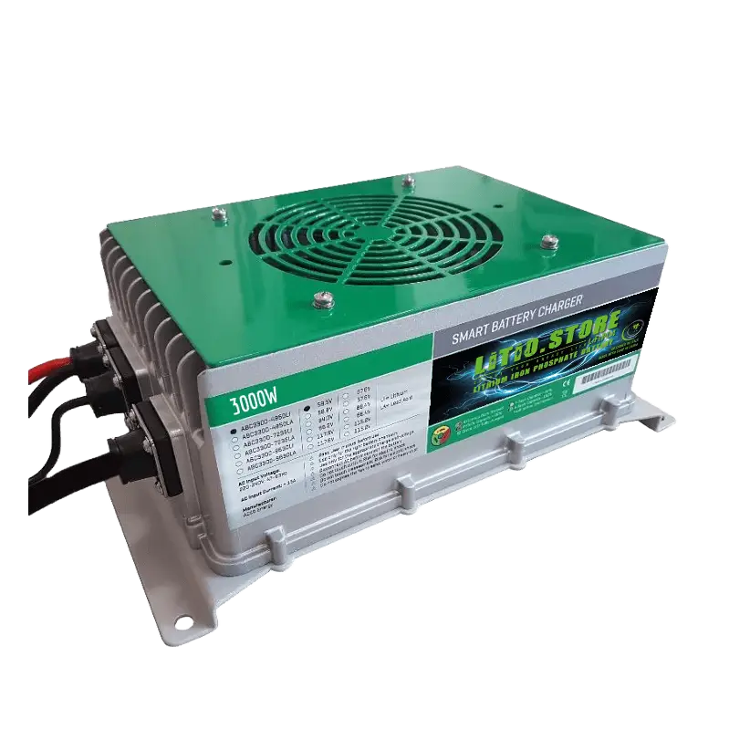 Caricabatterie a 220V 48V 55A 3000W Bluetooth LITIO STORE Waterproof IP67 per batterie LiFePO4 litio ferro fosfato