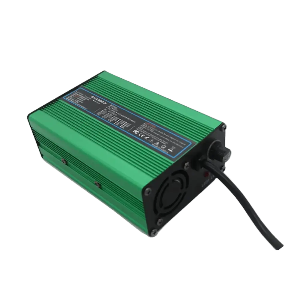 Caricabatterie a 220V 48V 5A 300W per batterie LiFePO4 litio ferro fosfato