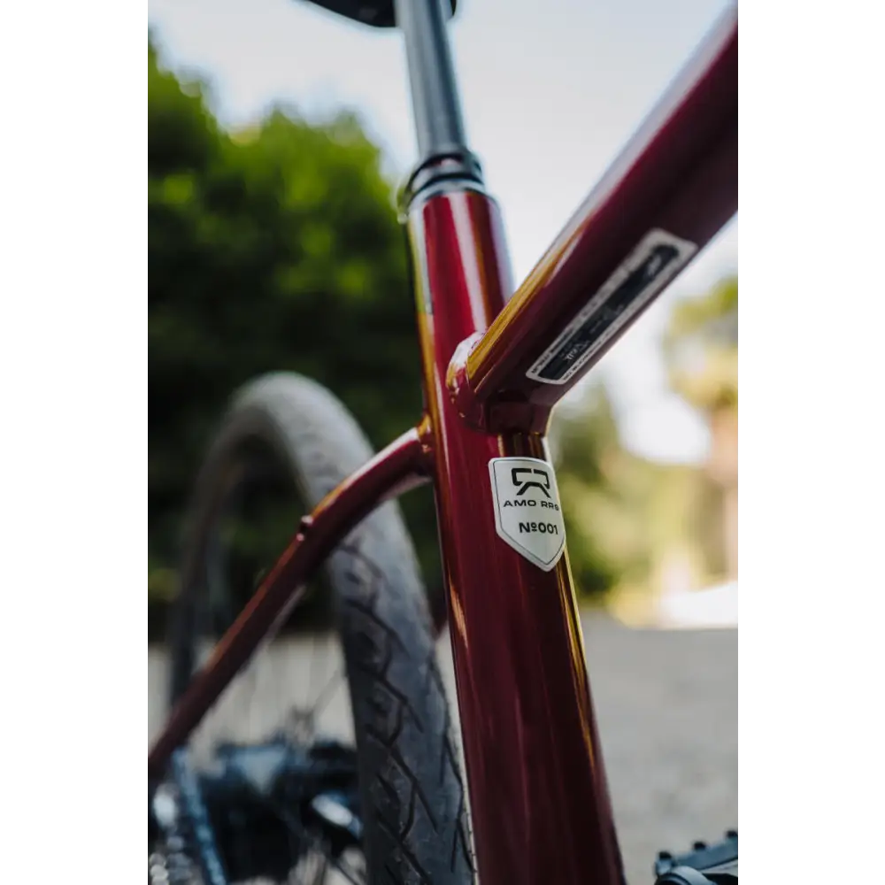 E-MV Agusta Amo RR10 city e-bike