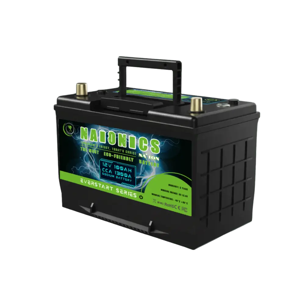 Batteria al Sodio 12V 100Ah EverStart Series NA1210001SB