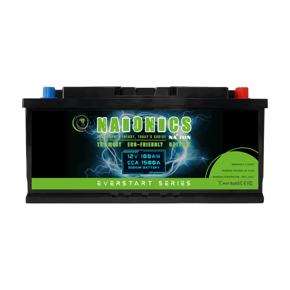 Batteria al Sodio 12V 100Ah EverStart Series NA1010002SB
