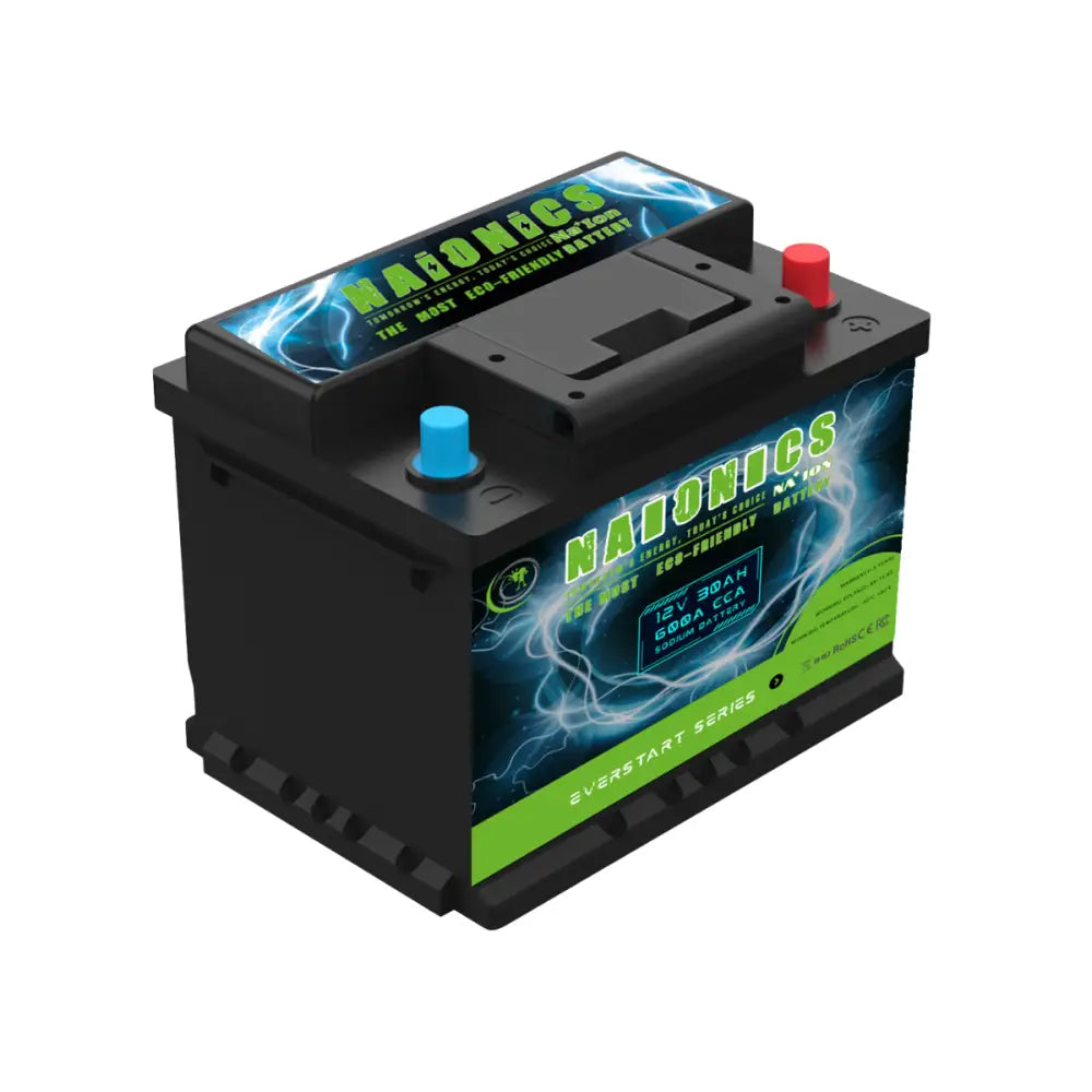 Batteria al Sodio 12V 30Ah EverStart Series NA1203005SN