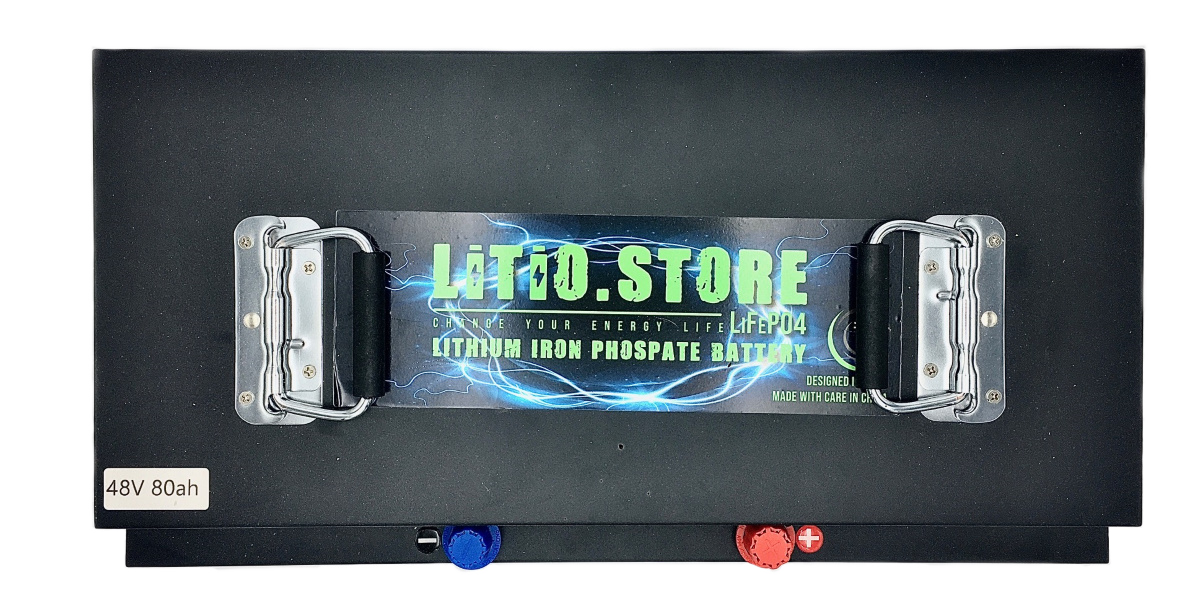 Batteria LiFePO4 48V 80Ah litio-ferro-fosfato 80A BMS 4096Wh Serie PRO