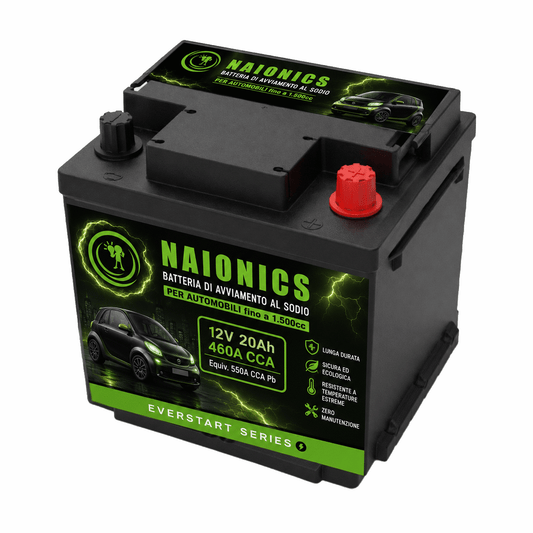 Batteria al Sodio per avviamento Auto fino a 1500cc Naionics 12V 20Ah 460 CCA 207x175x189mm - EverStart Series NA1202001A1