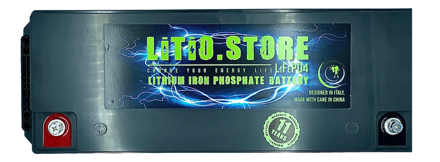 Batteria LiFePO4 12V 300Ah Serie PICCOLA Litio Store LFP 100A BMS 3840Wh