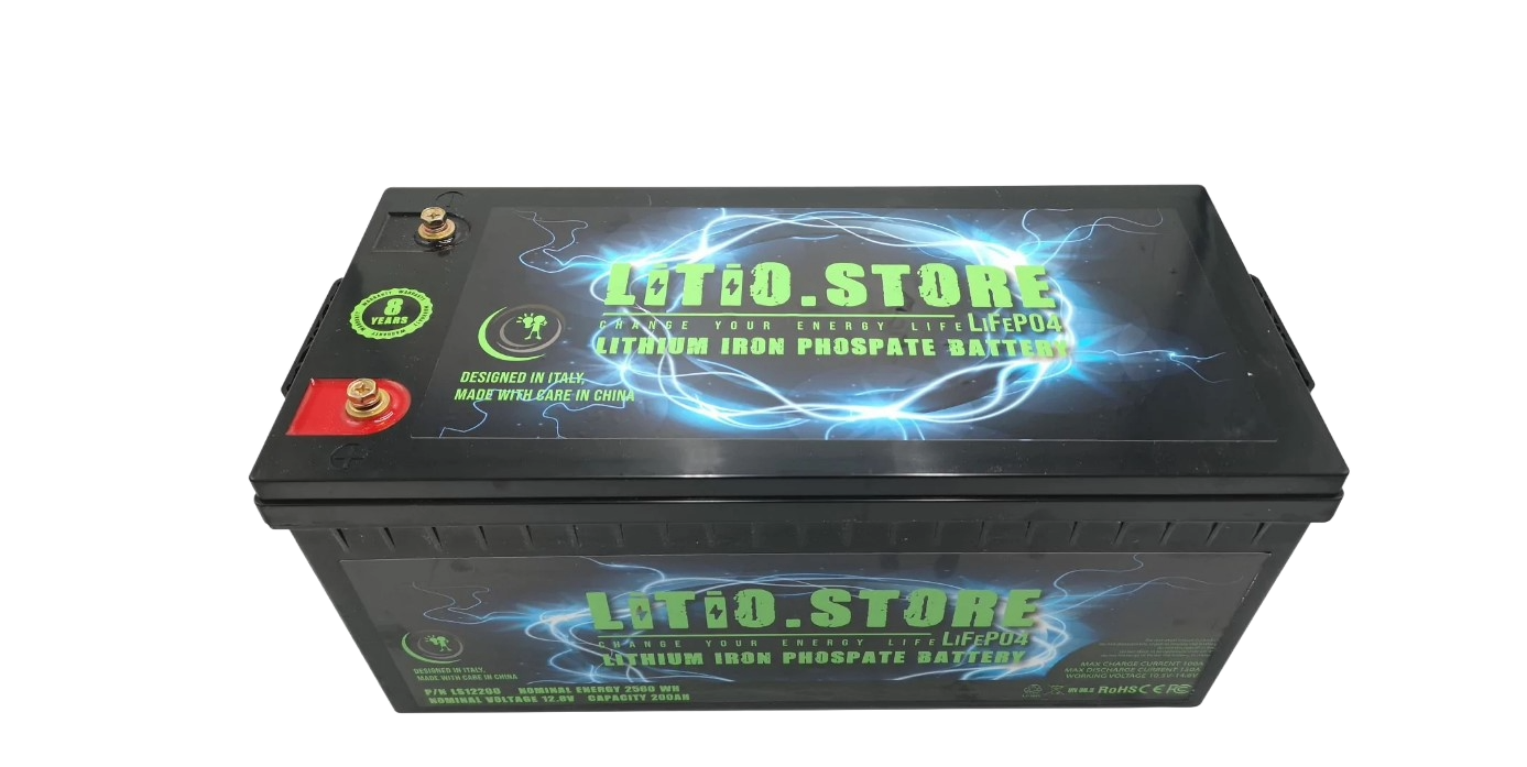 Batteria LiFePO4 24V 200Ah litio-ferro-fosfato 100A BMS 5120Wh 45-90 gg