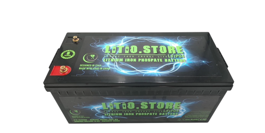 Batterie LiFePO4 24V 200Ah litio-ferro-fosfato 100A BMS 5120Wh 45-90 gg