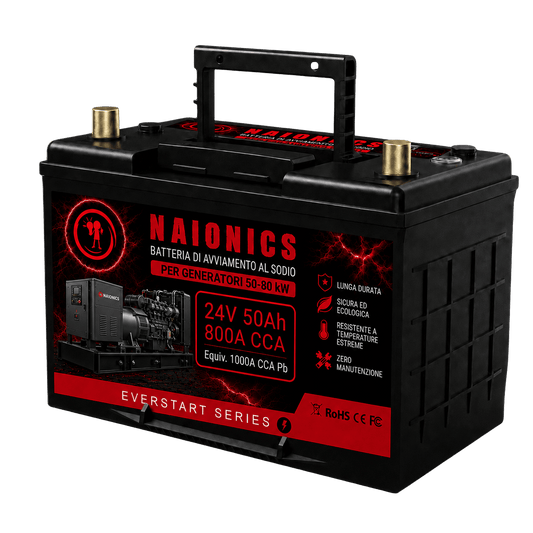 Batteria al Sodio per avviamento Generatori da 50 a 120kW Naionics 24V 50Ah 800A CCA Bluetooth 306x174x222mm - EverStart Series NA24050G4