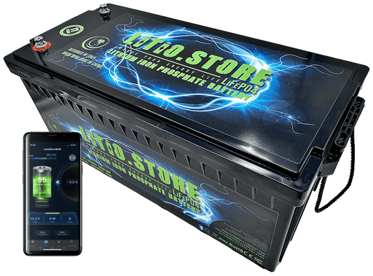 Batterie LiFePO4 24V 100Ah Bluetooth Litio Store LFP 100A BMS 2560Wh