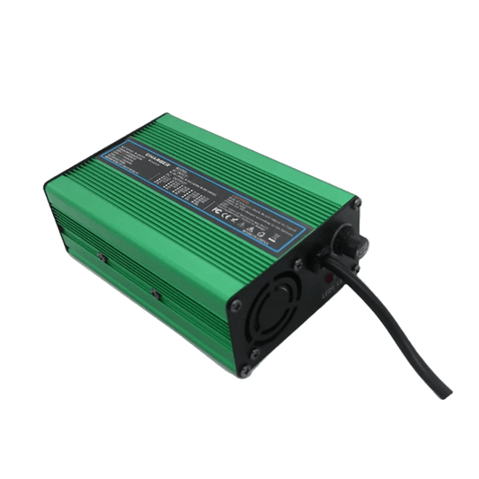 220V 48V 30A batterijlader voor LiFePO4 lithium-ijzerfosfaatbatterij