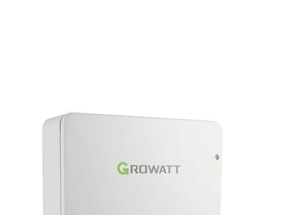 Backup Box Growatt SYN 100-XH-30 per Alimentazione di Emergenza