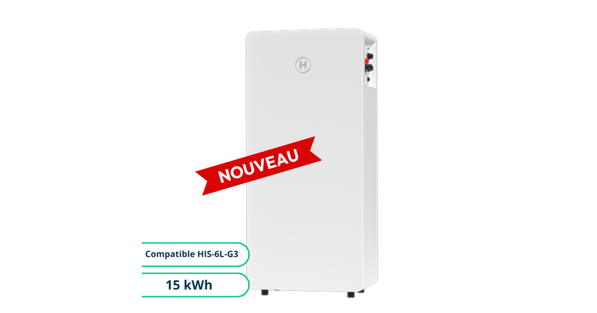 Batteria Hoymiles LB-15D-G3 48V 15 kWh LiFePO4 con Sezionatore