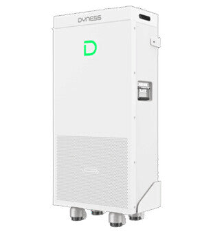 Batteria Accumulo Bassa Tensione Dyness PowerBrick Max 16,07kWh 51,2V LiFePO4