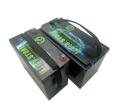 Batteria LiFePO4 12V 100Ah Serie PICCOLA litio-ferro-fosfato 100A BMS 1280Wh 11493