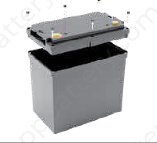 Box Batteria Vuoto Con Viti - Coperchio Rimovibile LSB12-55R out 229x138x208mm in 212x125x175mm MOQ 10pz