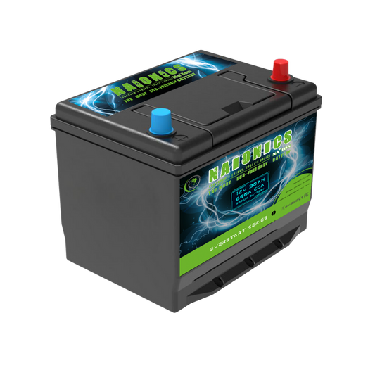 Naionics 12V 30Ah 600 CCA - Batteria al Sodio per avviamento Auto EverStart Series NA1203001SN