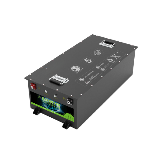 Naionics 24V 400Ah 1200 CCA - Batteria al Sodio per avviamento Auto EverStart Series NA2440001SN