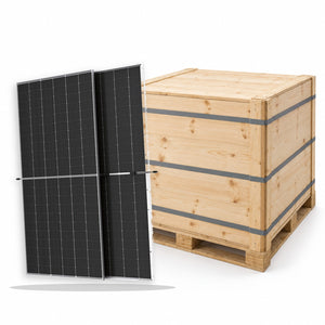 Bancale da 36 moduli fotovoltaici Trina Vertex N 620 W bifacciali