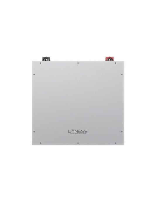 Batteria di accumulo bassa tensione Dyness DL5.0C 5,12 kWh LiFePO4