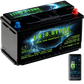 Batteria LiFePO4 12V 150Ah Bluetooth sottosedile Riscaldata Litio Store LFP 150A BMS 1920Wh 11485 - LiFePO4 Battery