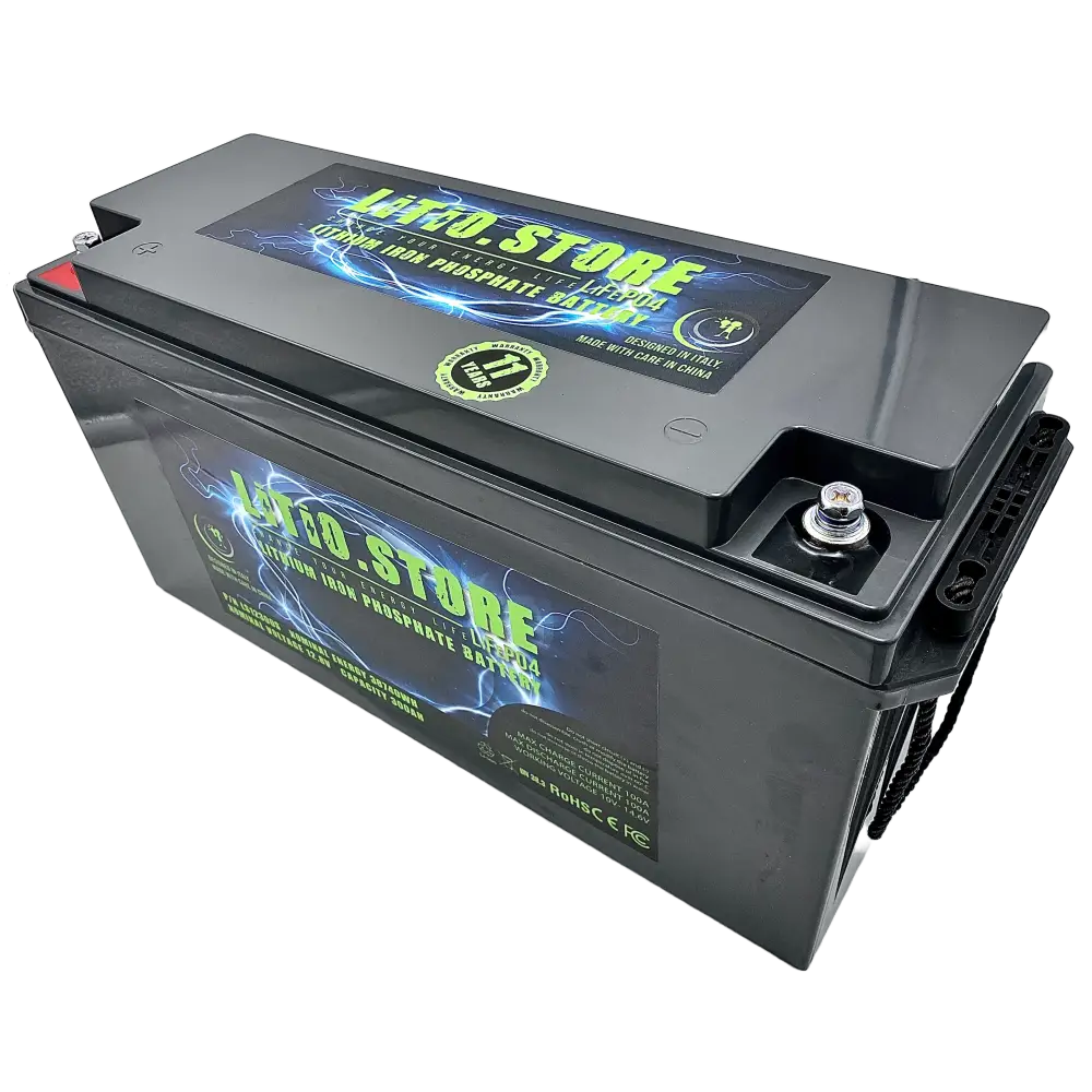 Batteria LiFePO4 12V 300Ah Serie PICCOLA Litio Store LFP 100A BMS 3840Wh 11495 - LiFePO4 Battery