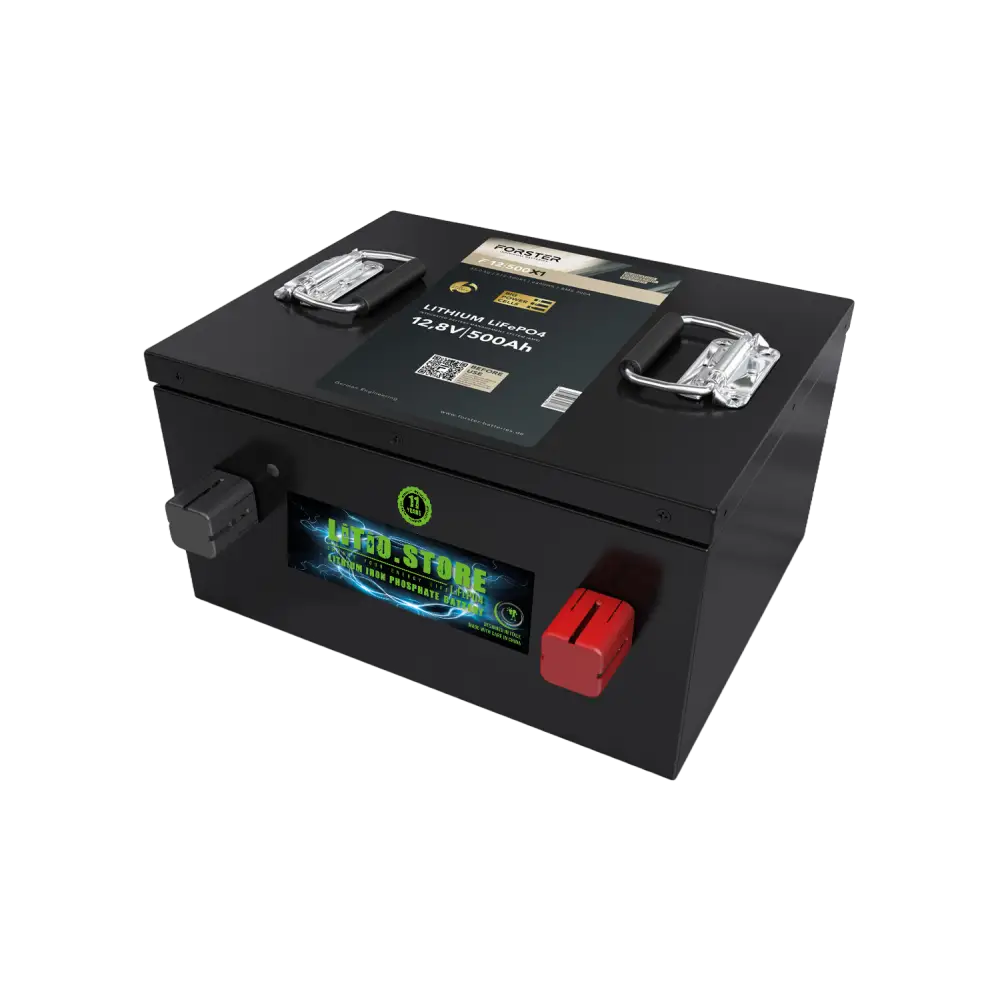 Batteria LiFePO4 12V 500Ah SottoSedile Ducato Serie PICCOLA litio-ferro-fosfato 300A BMS 6400Wh 11498 - LiFePO4 Battery