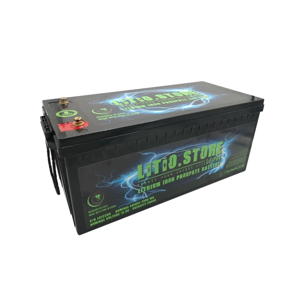 Batteria LiFePO4 24V 100Ah Bluetooth Litio Store LFP 100A BMS 2560Wh 11490 - LiFePO4 Battery