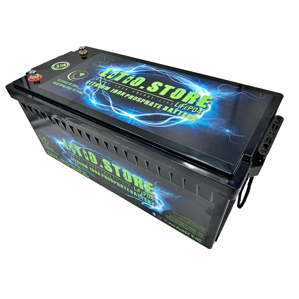 Batteria LiFePO4 24V 100Ah litio-ferro-fosfato 100A BMS 2560Wh Serie Classic 11479 - LiFePO4 Battery