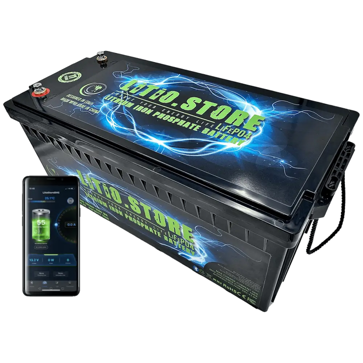 Batteria LiFePO4 36V 100Ah Bluetooth Litio Store LFP 150A BMS 3840Wh 11491 - LiFePO4 Battery