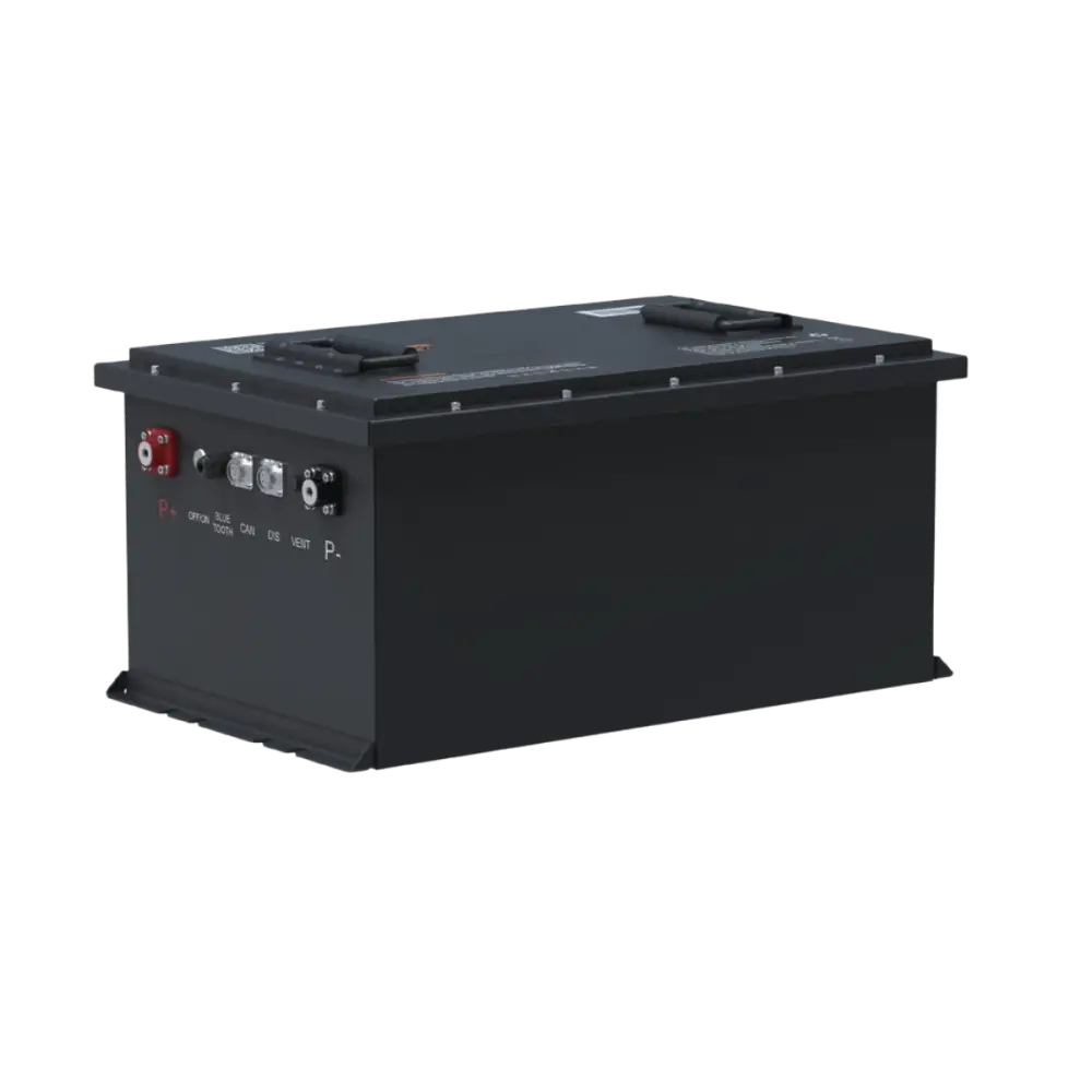 Batteria LiFePO4 48V 105Ah litio-ferro-fosfato 200A BMS 5376Wh per Golf Car Barche Litio Store Serie PRO 11537