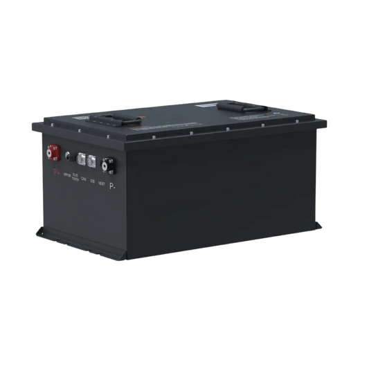 Batteria LiFePO4 48V 105Ah litio-ferro-fosfato 200A BMS 5376Wh per Golf Car Barche Litio Store Serie PRO 11537