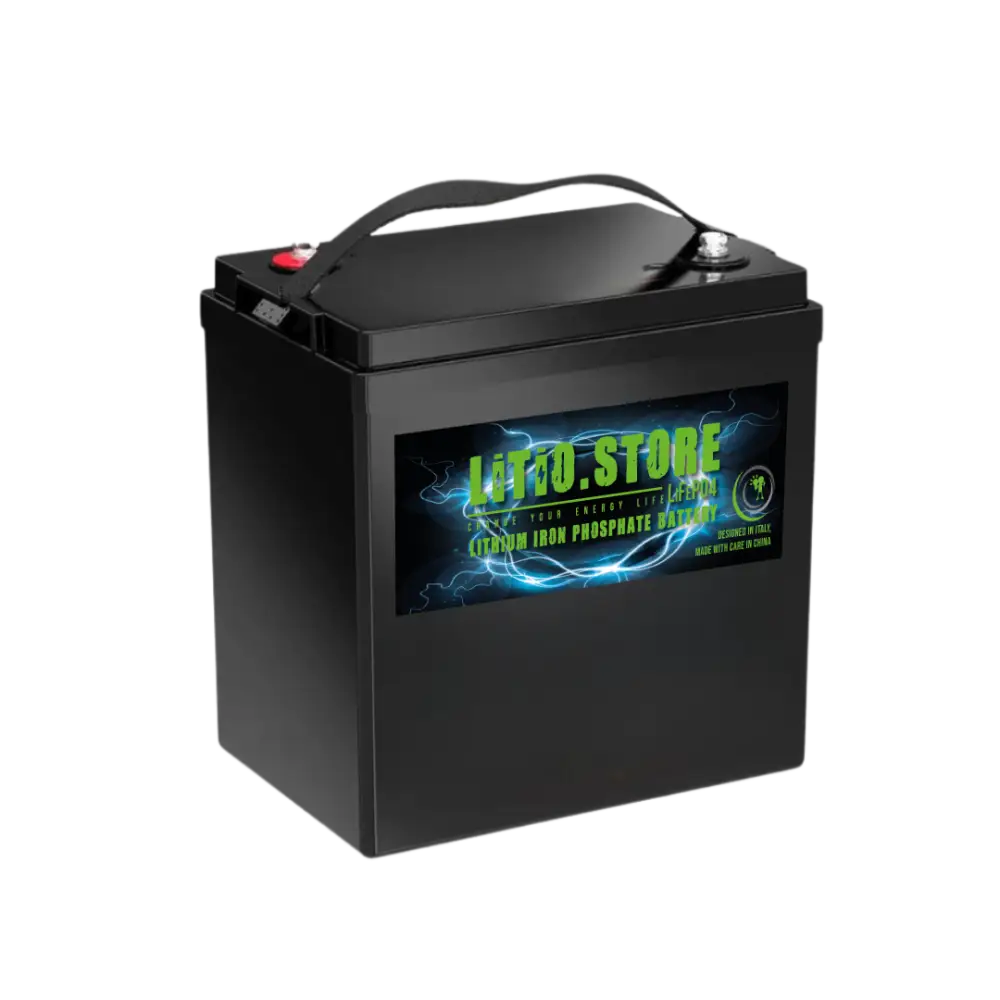 Batteria LiFePO4 48V 30Ah litio-ferro-fosfato 80A BMS 1536Wh GC2 per Golf Car Litio Store Serie EVS LS48030E