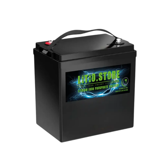 Batteria LiFePO4 48V 30Ah litio-ferro-fosfato 80A BMS 1536Wh GC2 per Golf Car Litio Store Serie EVS LS48030E