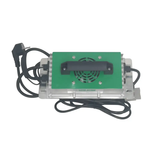 Caricabatterie a 220V 36V 20A LITIO STORE Waterproof IP67 per batterie LiFePO4 litio ferro fosfato