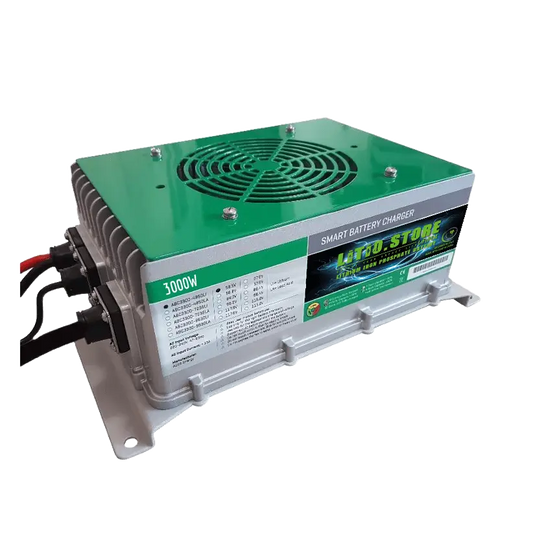 Caricabatterie a 220V 48V 55A 3000W Bluetooth LITIO STORE Waterproof IP67 per batterie LiFePO4 litio ferro fosfato