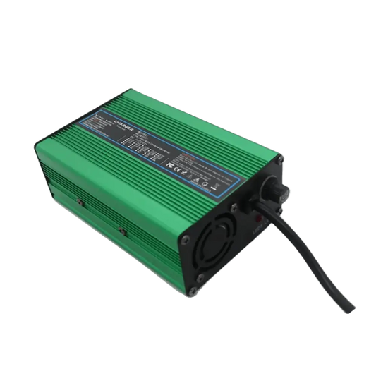 Caricabatterie a 220V 48V 5A 300W per batterie LiFePO4 litio ferro fosfato