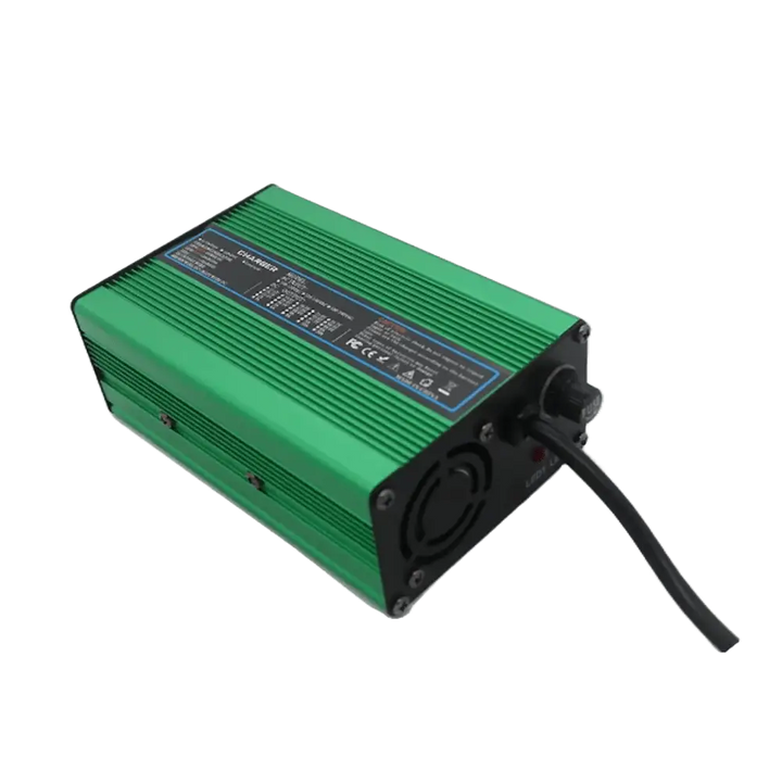Caricabatterie a 220V 48V 5A 300W per batterie LiFePO4 litio ferro fosfato