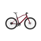 E-MV Agusta Amo RR9 city e-bike