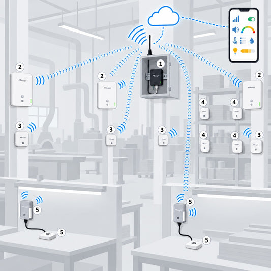 Kit ambiente di reparto Litio Store: schema di installazione con dispositivi Milesight LoRaWAN